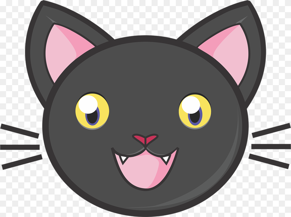 Cat Face Vector Png