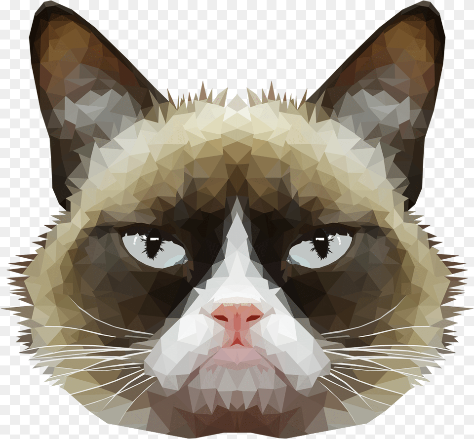 Cat Face With No Background, Person, Animal, Mammal, Pet Free Png