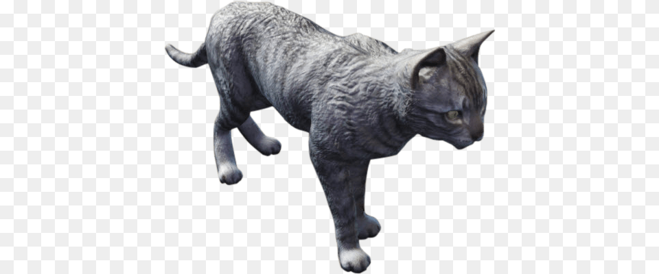 Cat Fallout Cat, Animal, Mammal, Manx, Pet Free Png