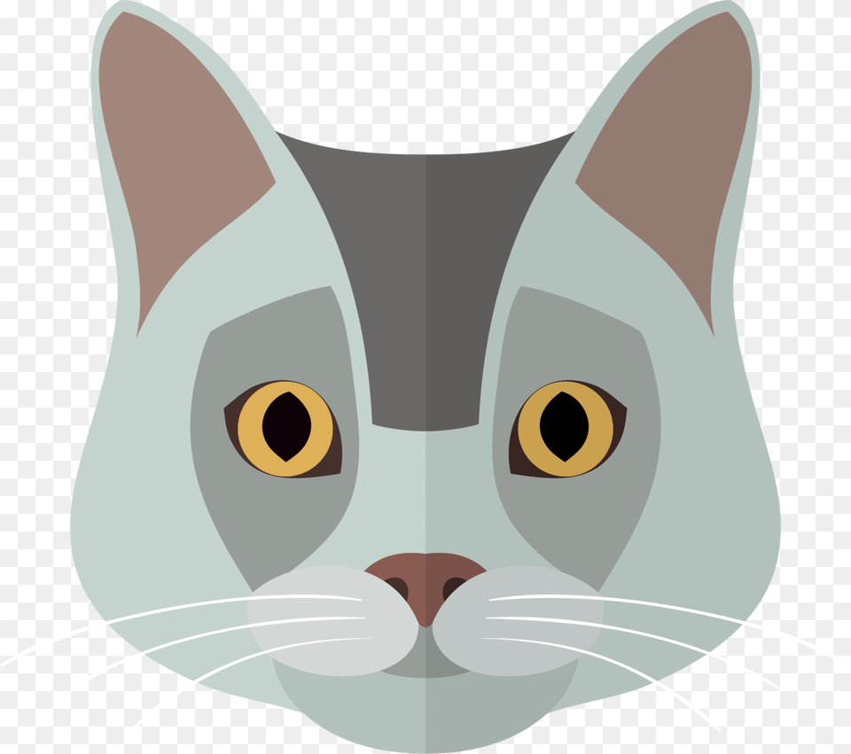 Cat Food Kitten Dog Dibujos Gatos Grises, Mammal, Pet, Animal, Abyssinian Png Image