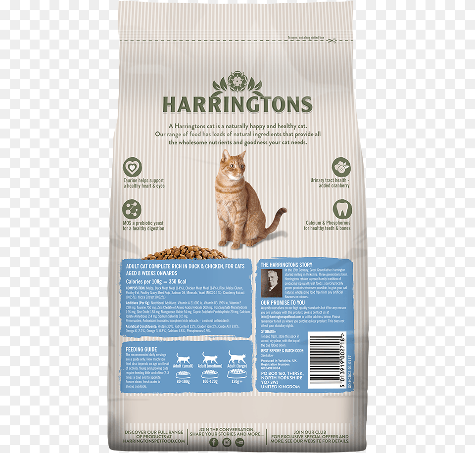 Cat Food Products, Advertisement, Poster, Animal, Mammal Free Png