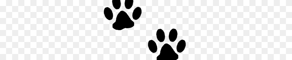 Cat Foot Image Free Transparent Png