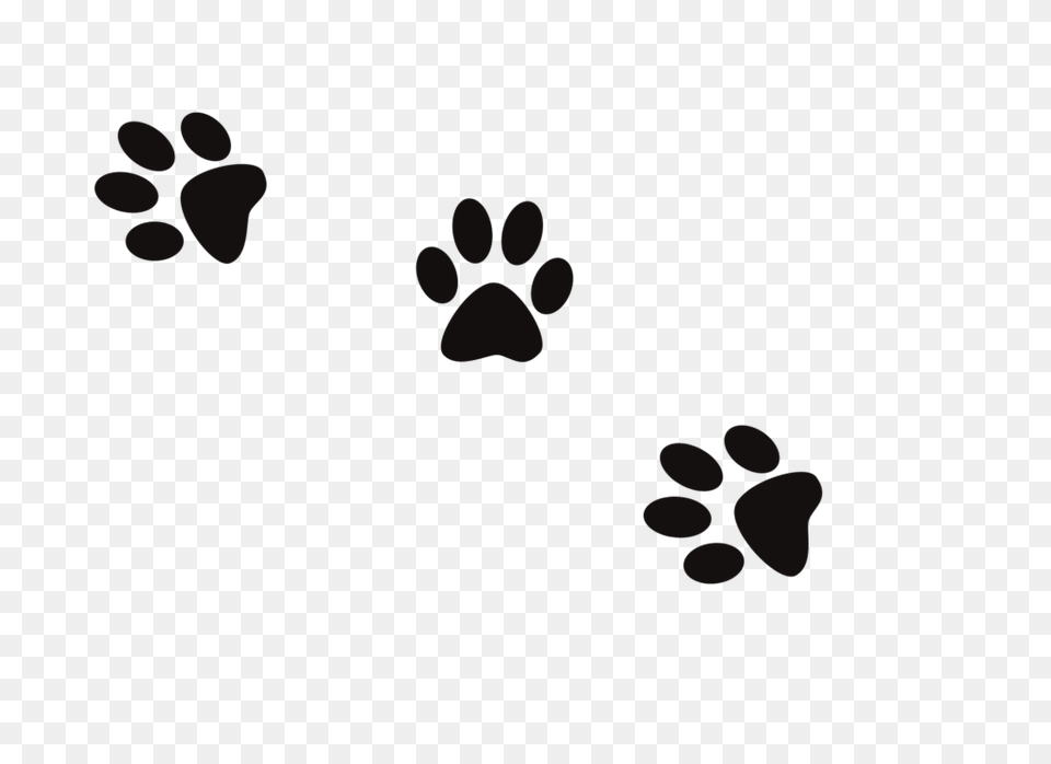 Cat Footprint Clipart Clip Art Print Winging, Flower, Plant Free Transparent Png