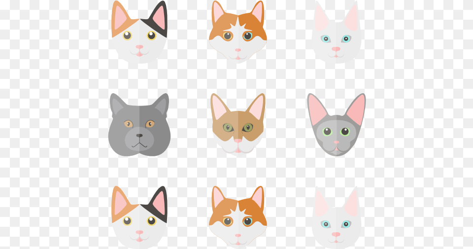 Cat Cat Icon, Animal, Mammal, Pet Free Png Download