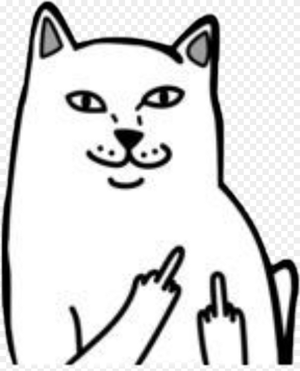 Cat Fuck Hand Sticker White Black Aesthetic Transparent Cat Middle Finger, Baby, Person, Animal, Mammal Png Image