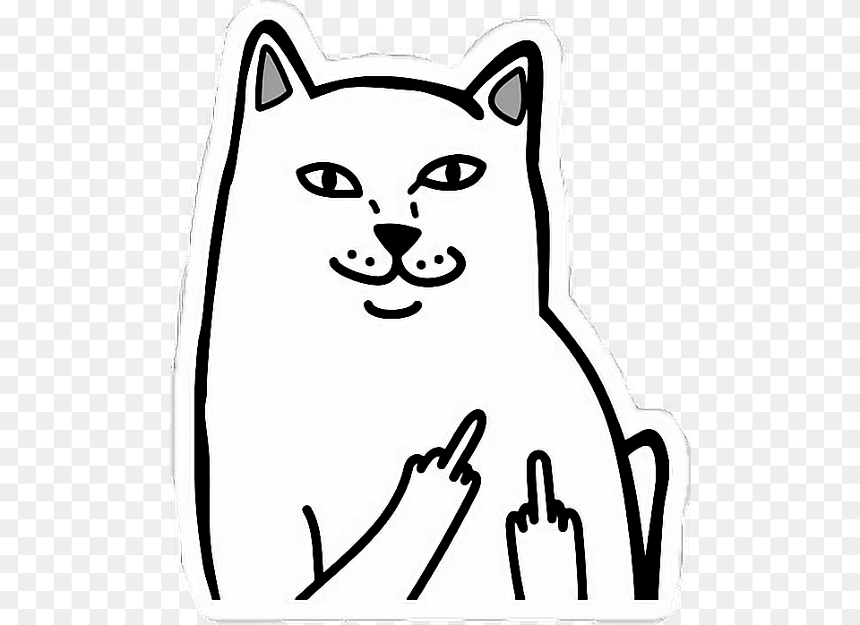 Cat Fuckyou Fuckyeah Catfuck Fuckcat Cat Flipping Off Meme, Stencil, Person, Baby, Head Free Transparent Png