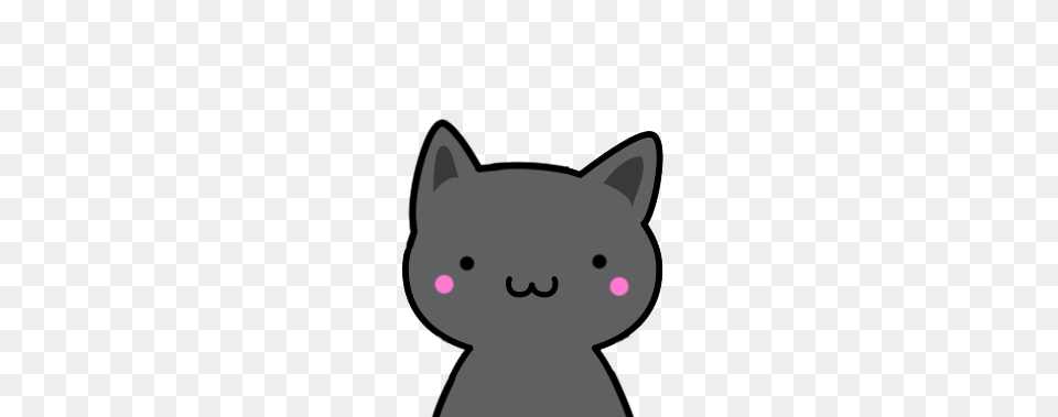 Cat Gato Black Png