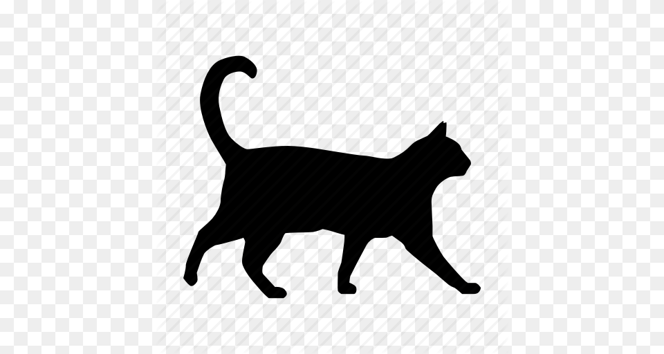 Cat Gato Icon, Silhouette, Animal, Pet, Mammal Free Png Download