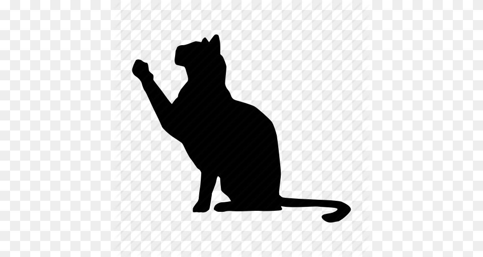 Cat Gato Pet Icon, Silhouette, Animal, Mammal Png