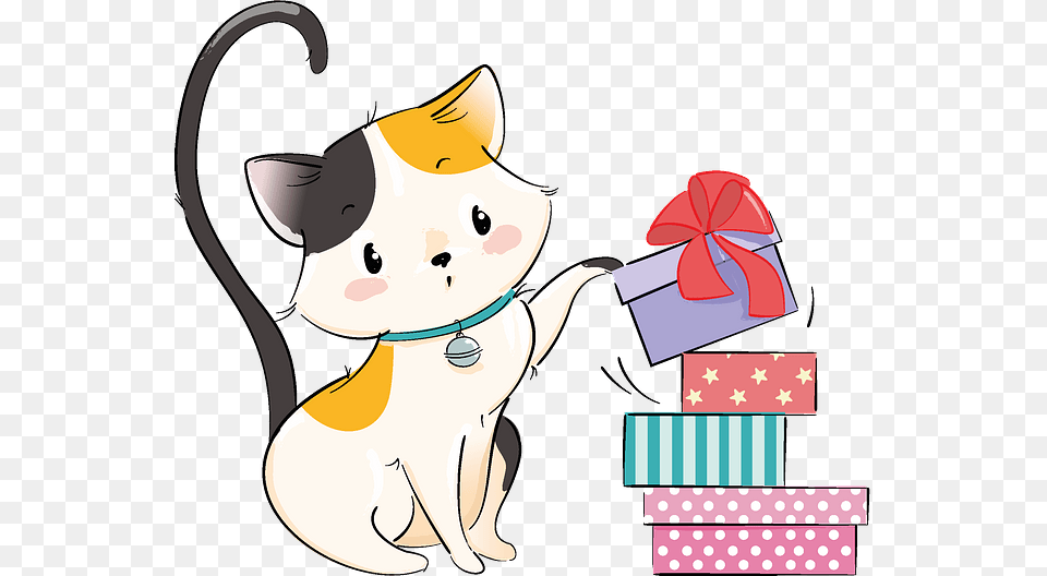 Cat Grabs Treat, Face, Head, Person, Animal Png