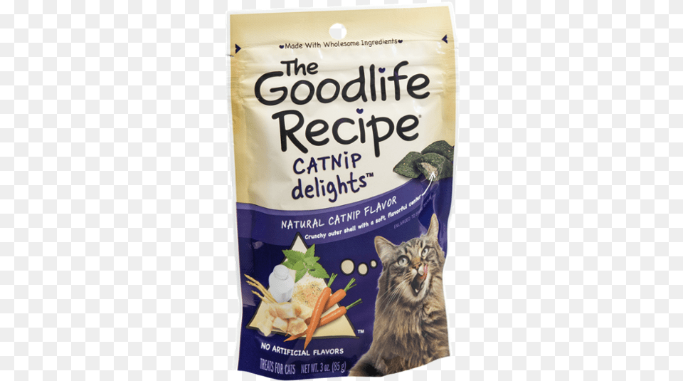 Cat Grabs Treat, Food, Lunch, Meal, Animal Png Image
