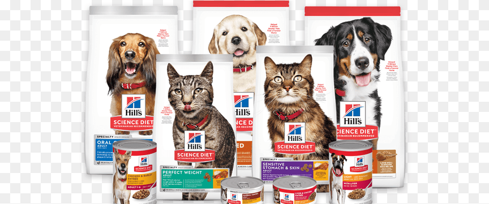 Cat Grabs Treat, Aluminium, Food, Tin, Canned Goods Png