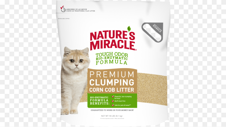 Cat Grabs Treat, Advertisement, Poster, Animal, Mammal Free Png Download