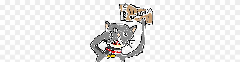 Cat Having Crisis Over Hogwarts Rejection Letter Free Transparent Png