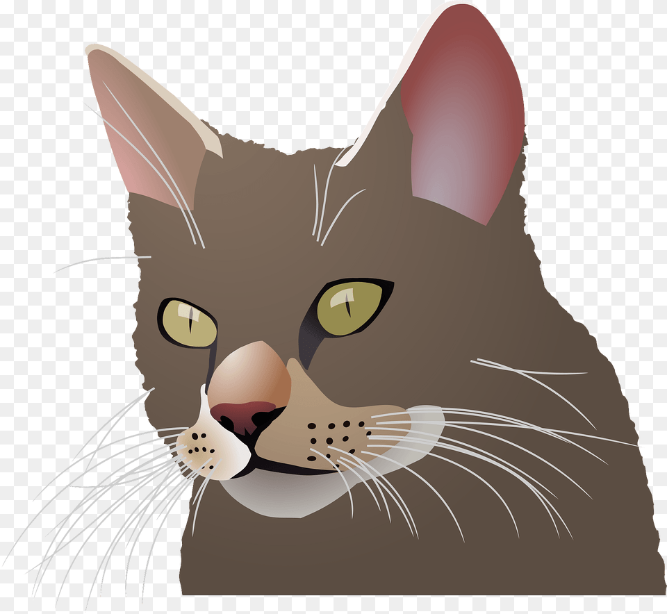 Cat Head Clipart, Abyssinian, Animal, Mammal, Pet Png