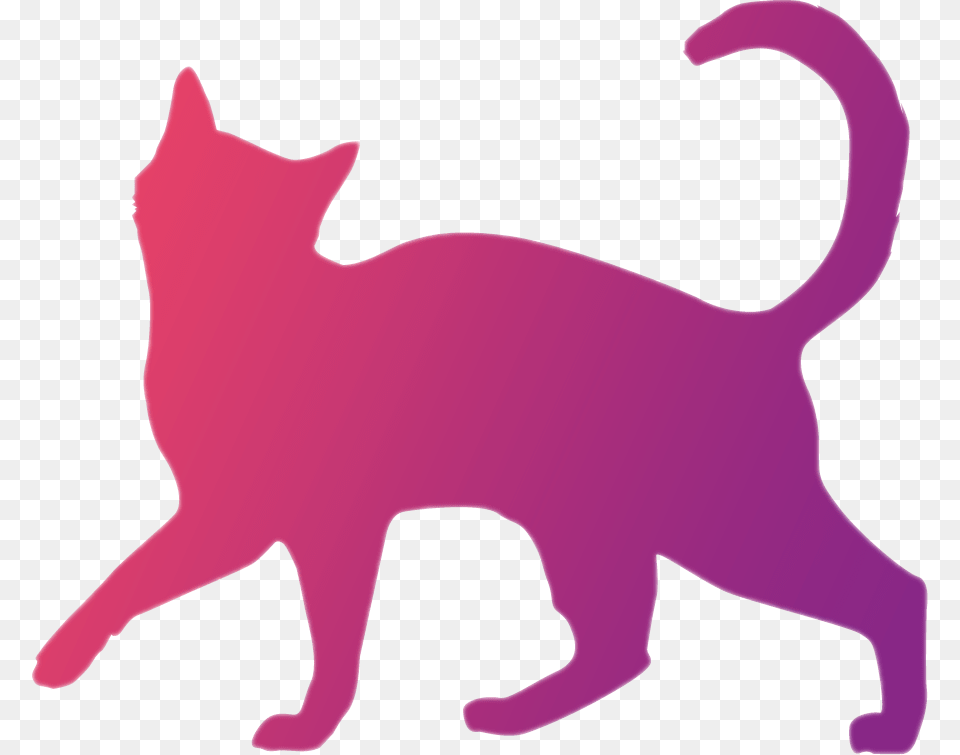 Cat Icon, Animal, Mammal, Pet Png