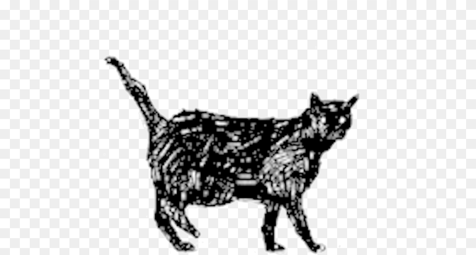 Cat Icon, Animal, Pet, Mammal, Panther Free Png