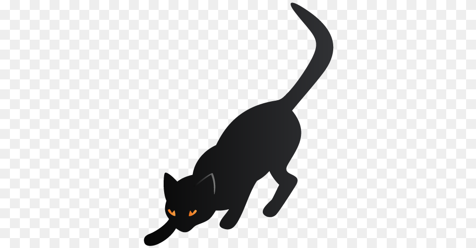 Cat Icons, Animal, Mammal, Pet, Black Cat Png Image