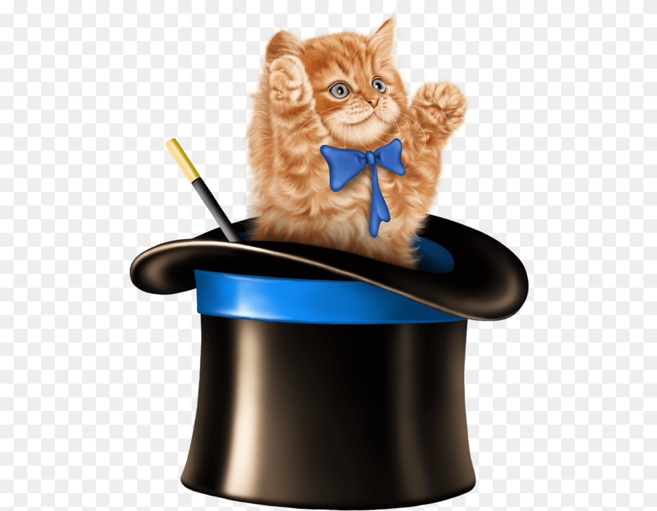 Cat In A Magic Hat, Person, Performer, Magician, Accessories Free Png Download