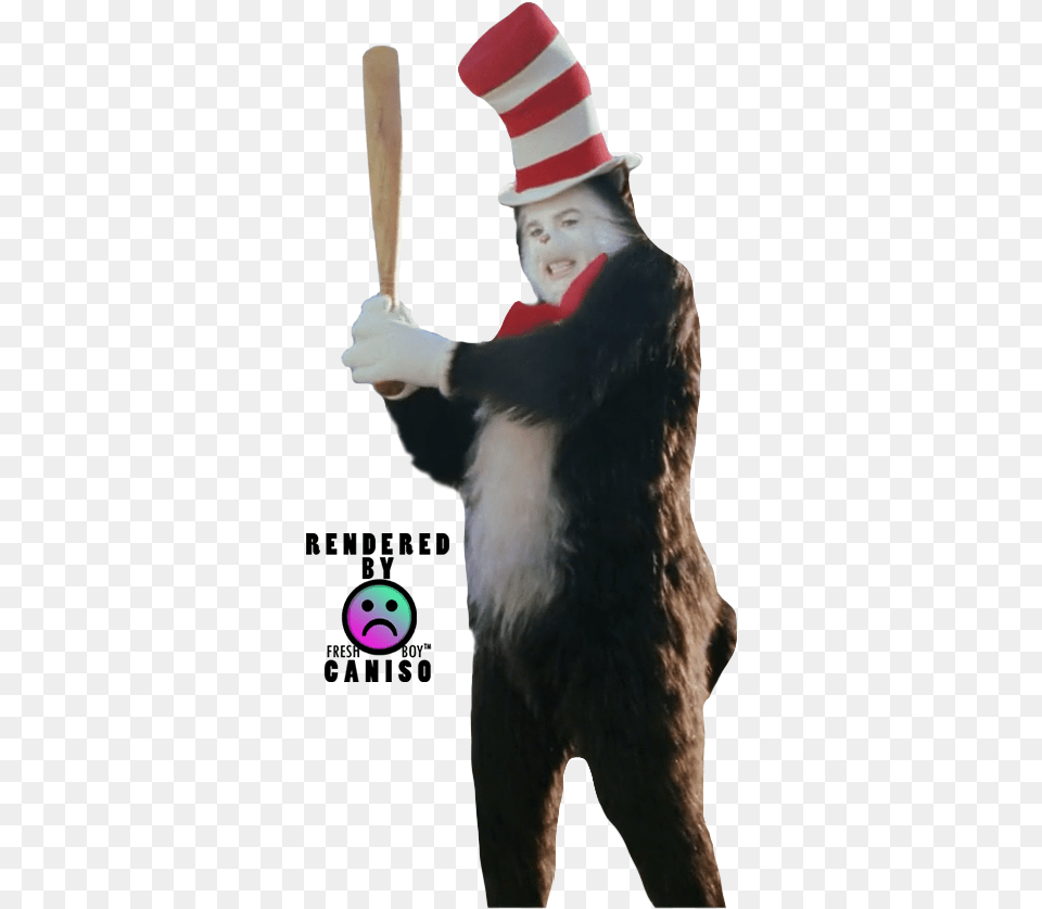 Cat In The Hat Render, Person, People, Adult, Woman Free Png Download