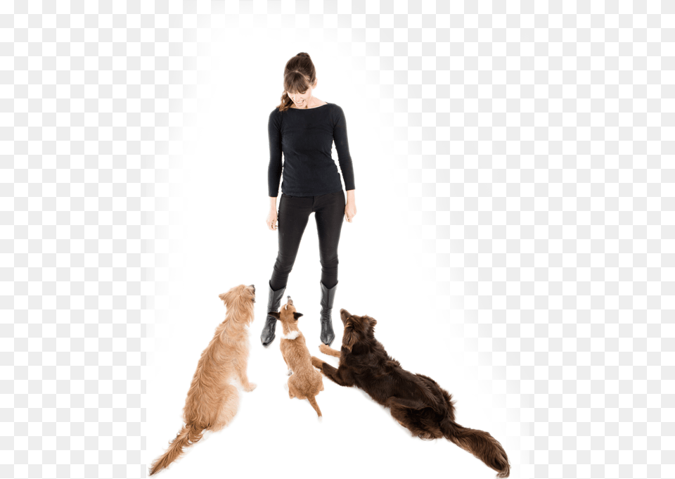 Cat Jumps, Long Sleeve, Sleeve, Photography, Clothing Png Image