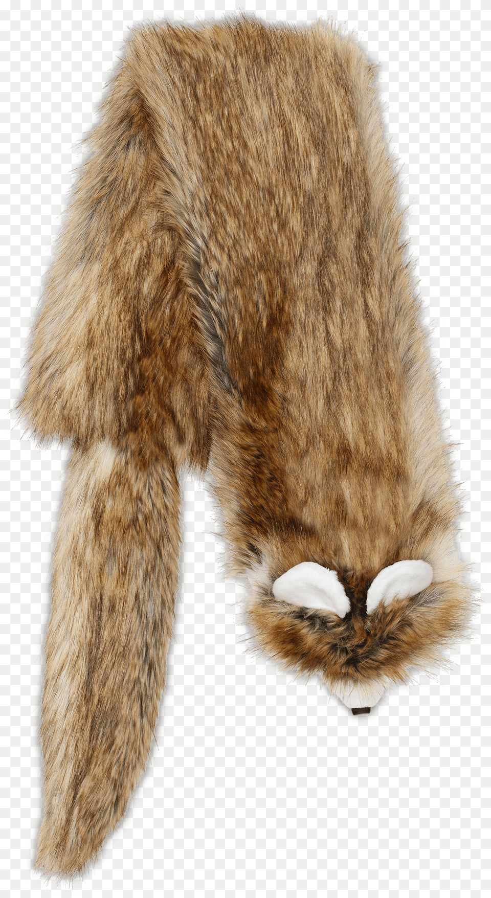 Cat Jumps Free Transparent Png