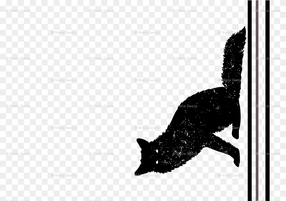 Cat Jumps, Nature, Night, Outdoors, Text Free Png Download