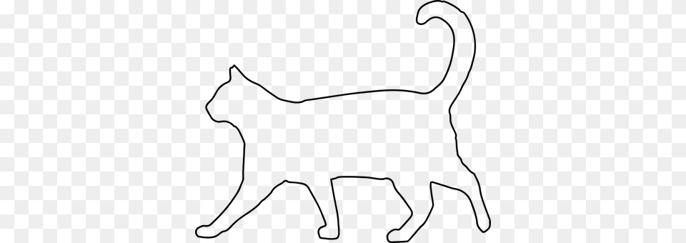 Cat Kitten Animal Domestic Cat Is Cat Outline Shape, Gray Free Png