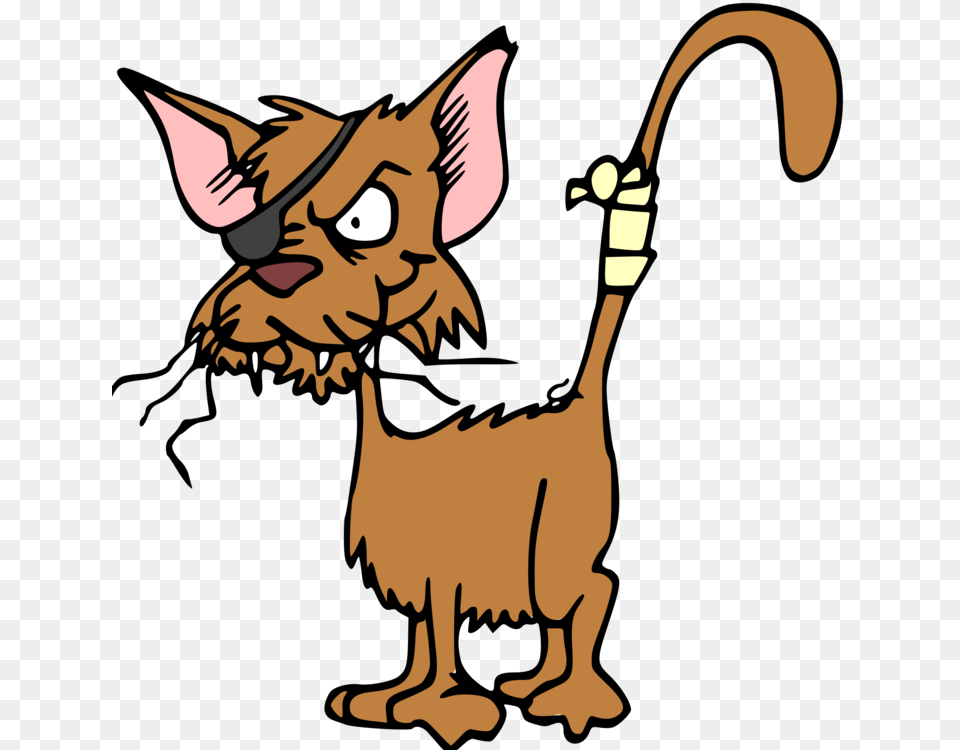 Cat Kitten Animal, Face, Head, Kangaroo Free Png Download