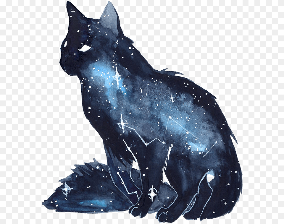 Cat Kitten Galaxy Watercolor Space Stars Freetoedit Galaxy Watercolor Cat, Animal, Mammal, Pet Free Png Download
