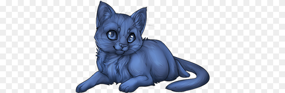 Cat Kitten Kitten, Animal, Mammal, Pet, Baby Free Transparent Png