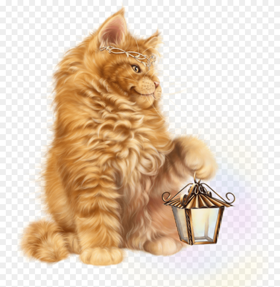 Cat Kitty Cute Kitten Light Lantern Tan Orange Yellow Domestic Long Haired Cat, Animal, Canine, Dog, Mammal Png Image