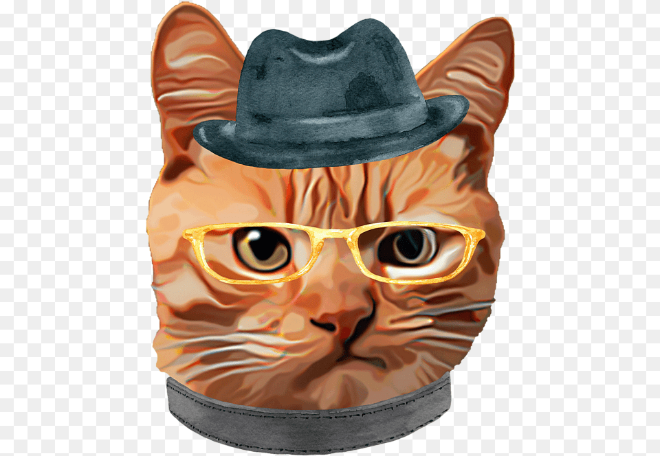 Cat Kitty Kitten In Clothes Yellow Glasses Gangster Hat Baseball T Shirt Hat, Clothing, Accessories, Male, Person Png Image
