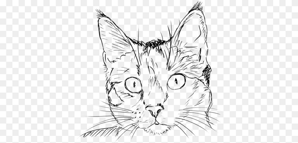 Cat Line Drawing Cat Head Coloring Page, Gray Free Transparent Png