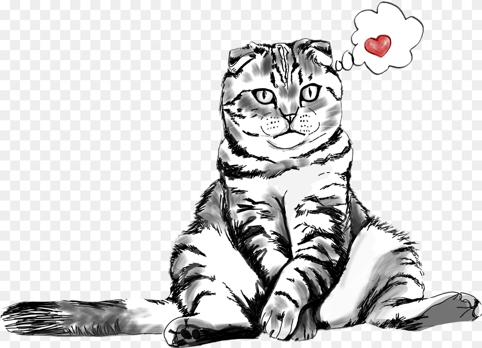 Cat Love Sitting Kitty Drawing Sticker Soft, Art, Baby, Person, Face Free Png