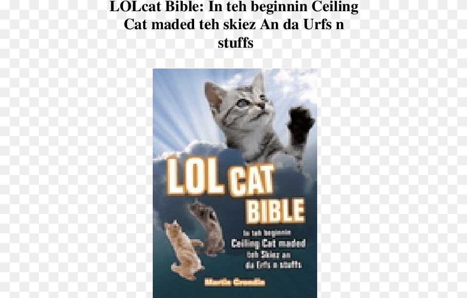 Cat Memes Christmas Themed, Advertisement, Poster, Animal, Kitten Free Png