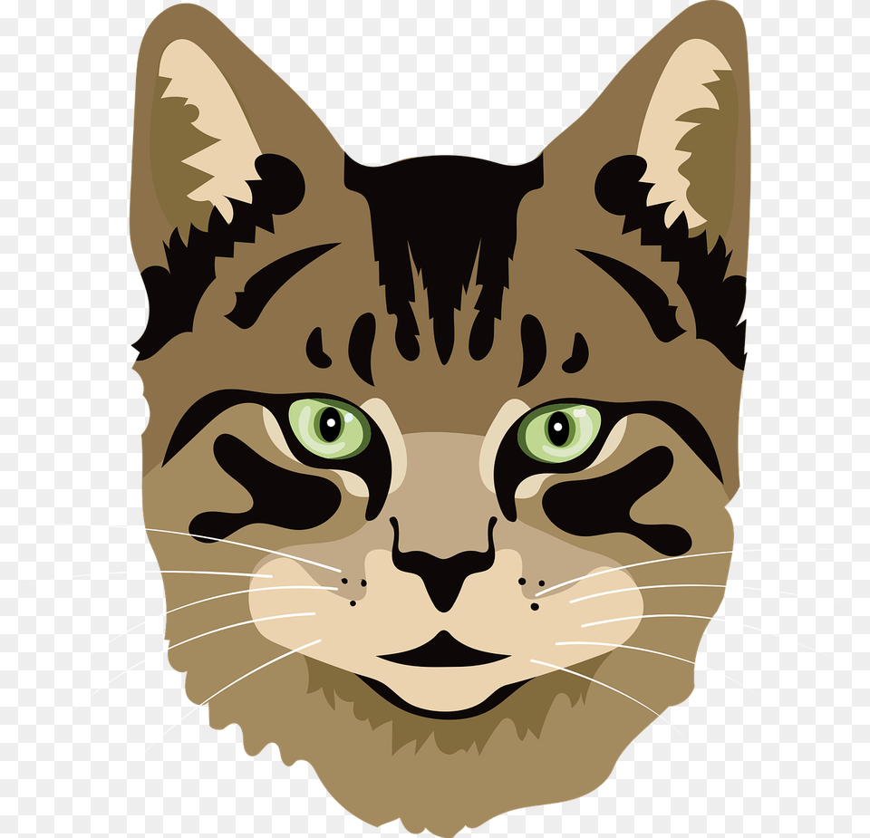 Cat Meow Kitten, Animal, Mammal, Pet, Abyssinian Free Png Download