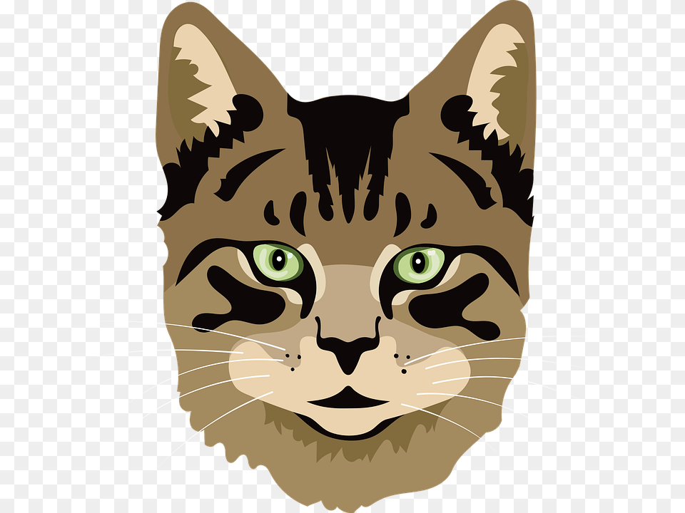 Cat Meowing Graphic, Person, Animal, Mammal, Pet Free Transparent Png