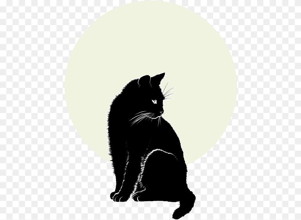 Cat Moon Iphone 12 Case Black Cat, Silhouette, Animal, Mammal, Pet Free Transparent Png
