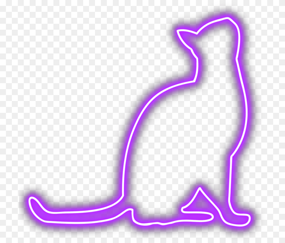 Cat Neon Purple Cat Neon, Light, Smoke Pipe Free Transparent Png