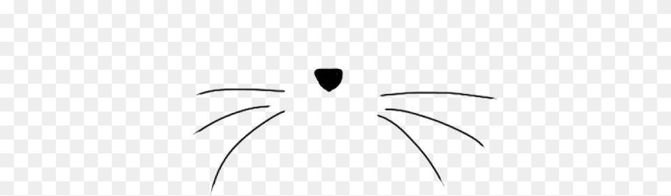 Cat Nose Bigote Nariz Gato, Bow, Weapon, Animal, Invertebrate Free Transparent Png