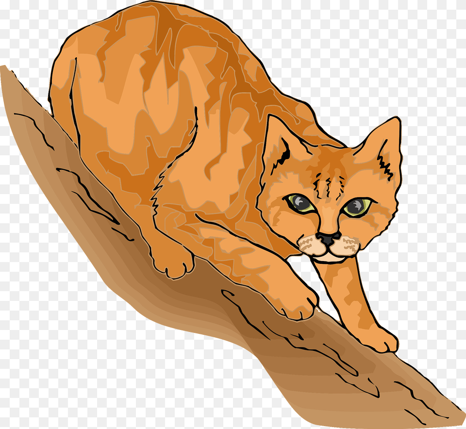 Cat On Branch Clipart, Animal, Mammal, Wildlife, Cougar Free Png
