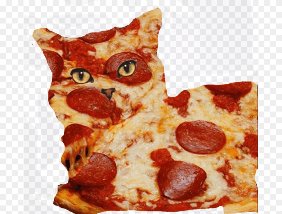 Cat On Pizza, Food Png
