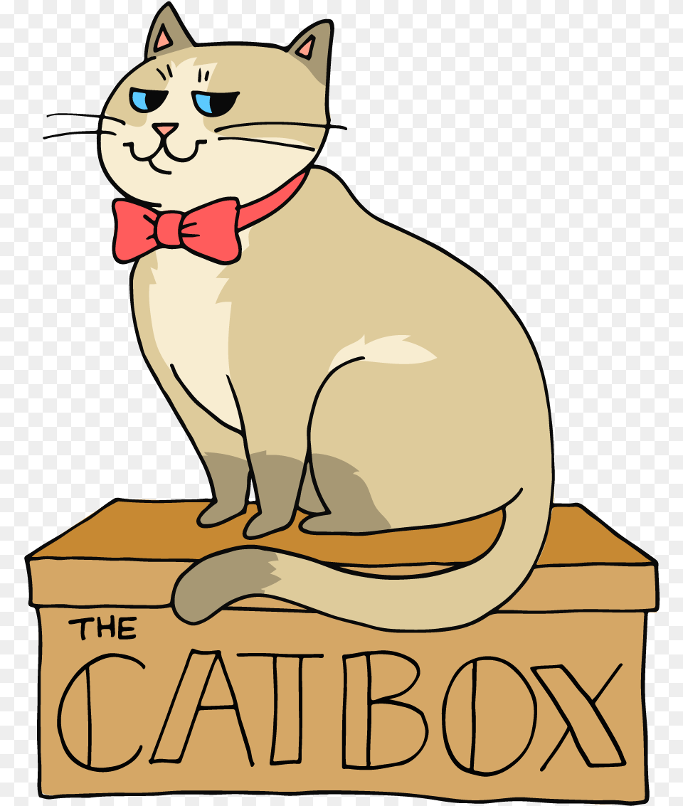 Cat On The Box, Animal, Mammal, Pet, Adult Png Image