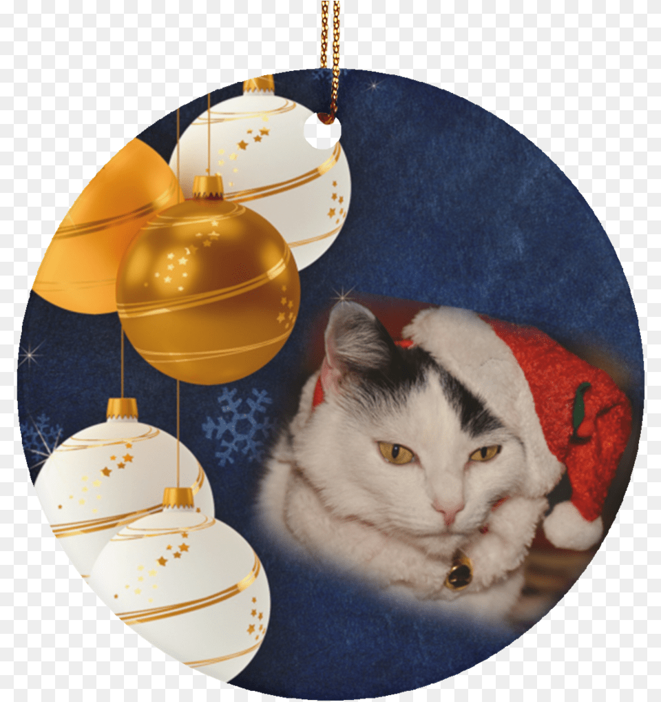 Cat Ornaments Black And Not Christmas Yet Still November, Sphere, Animal, Mammal, Pet Free Transparent Png