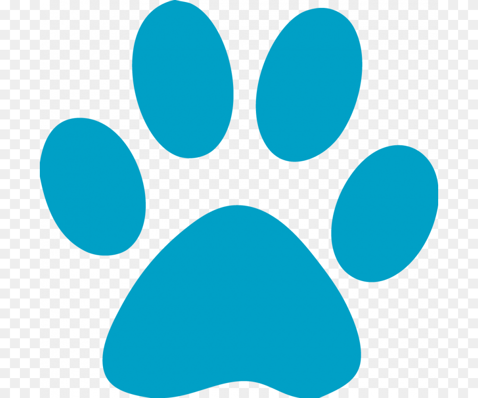 Cat Paw Print Turquoise, Head, Person, Face Png Image
