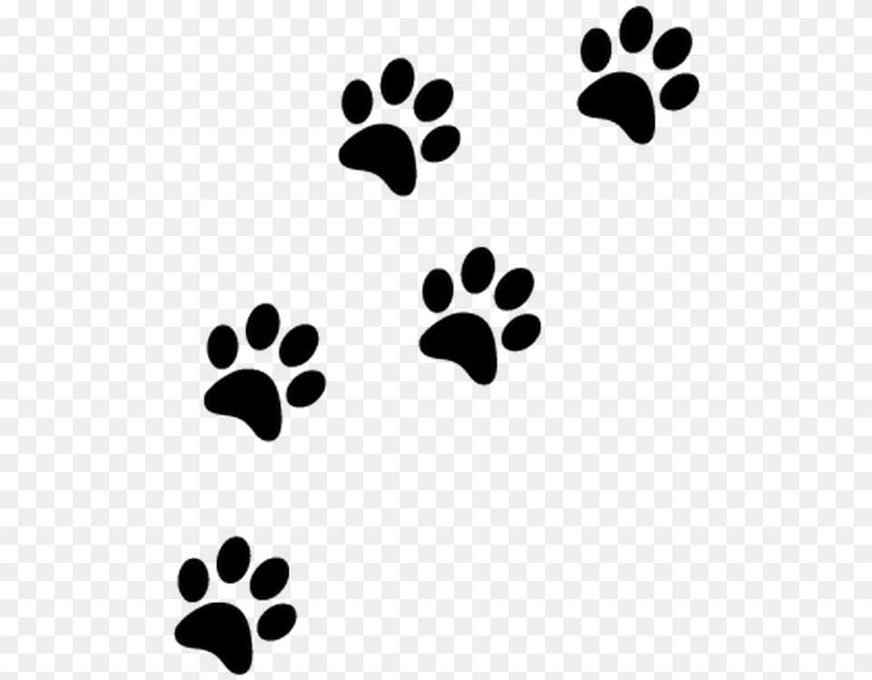 Cat Paw Prints Paw Prints Transparent Background, Footprint Png Image