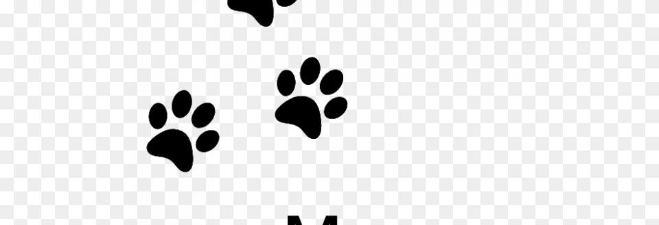 Cat Paw Vector Print Dog Photo Trial Bigstock Sweet, Gray Png Image