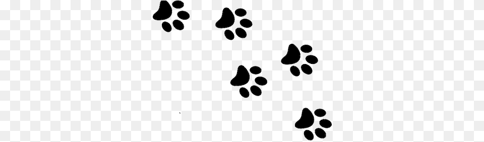 Cat Paws Gif Cat Paw Prints, Nature, Outdoors, Footprint Free Png