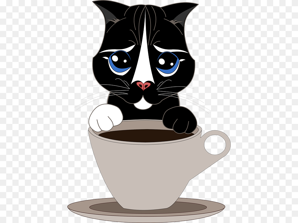 Cat Pet Cup Coffee Tea Kitten Tender Puppy Cafe Gato, Beverage, Coffee Cup, Sea Life, Mammal Png Image